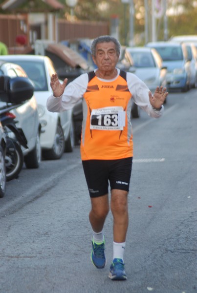 Maratonina di S.Alberto Magno [TOP] (11/11/2017) 00125