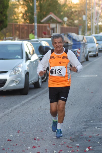Maratonina di S.Alberto Magno [TOP] (11/11/2017) 00126