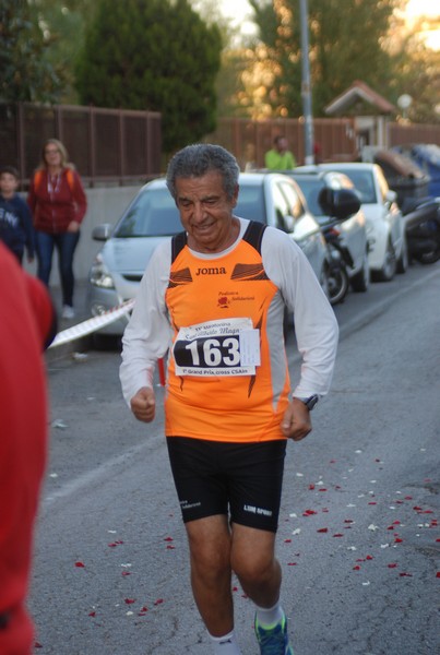 Maratonina di S.Alberto Magno [TOP] (11/11/2017) 00127