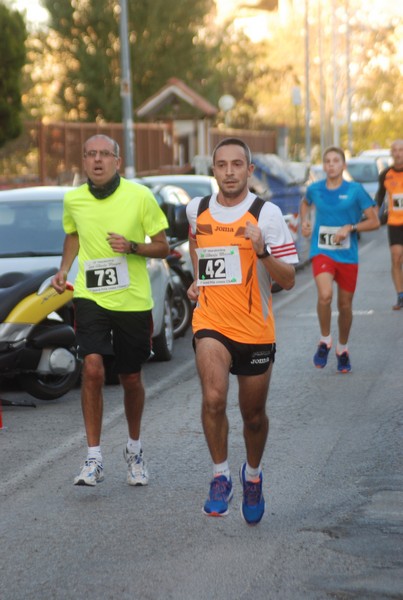 Maratonina di S.Alberto Magno [TOP] (11/11/2017) 00140