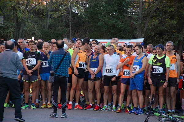 Maratonina di S.Alberto Magno [TOP] (11/11/2017) 00001