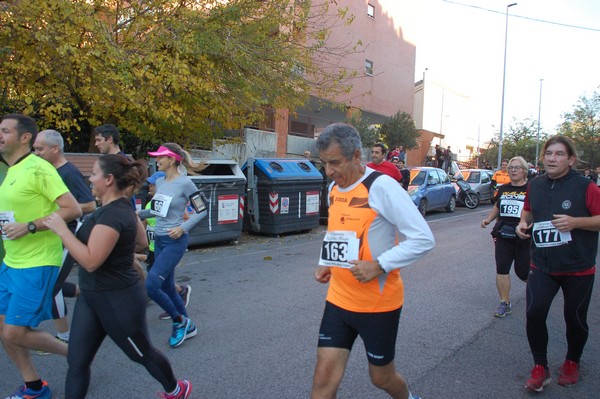 Maratonina di S.Alberto Magno [TOP] (11/11/2017) 00038