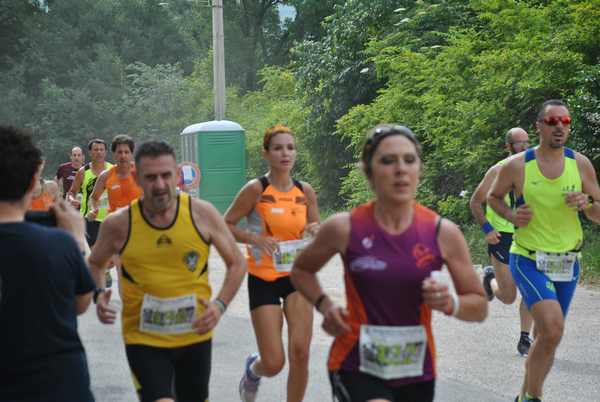 Maratonina di Villa Adriana (C.C.) (27/05/2018) 00030