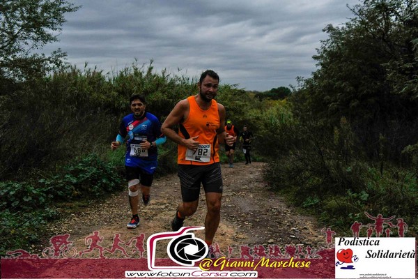 Maratonina di S.Alberto Magno [TOP] (16/11/2019) 00010