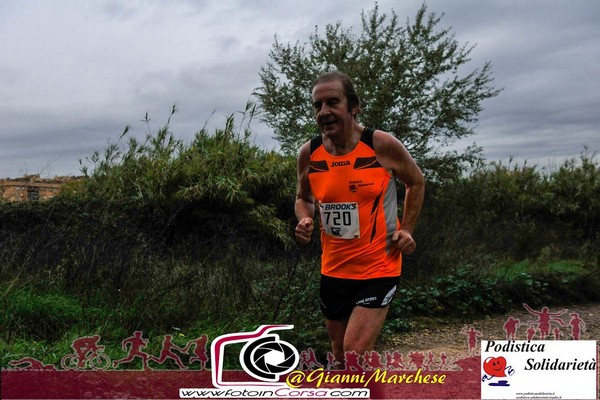 Maratonina di S.Alberto Magno [TOP] (16/11/2019) 00040