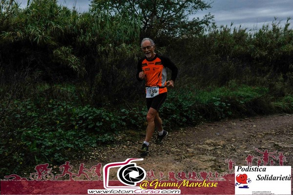 Maratonina di S.Alberto Magno [TOP] (16/11/2019) 00081