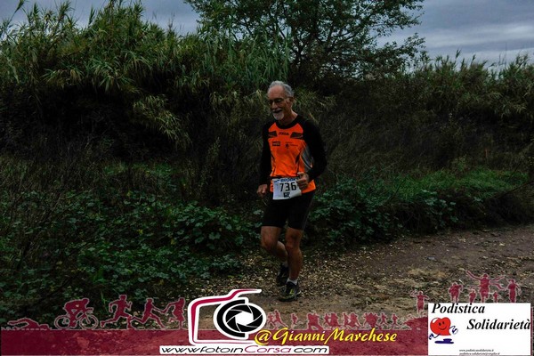Maratonina di S.Alberto Magno [TOP] (16/11/2019) 00082