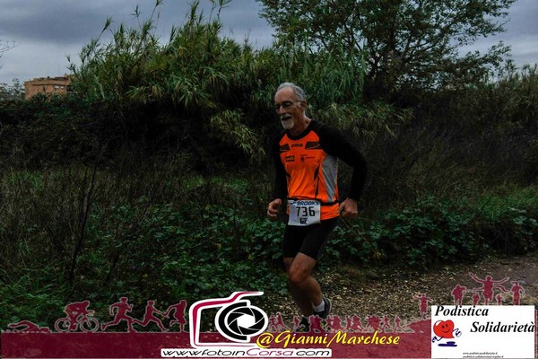 Maratonina di S.Alberto Magno [TOP] (16/11/2019) 00083