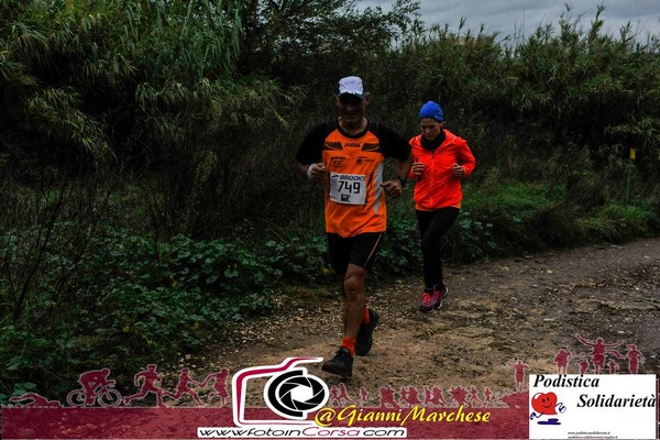 Maratonina di S.Alberto Magno [TOP] (16/11/2019) 00070