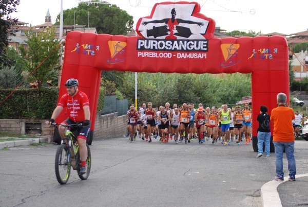 Corsa del S.S. Salvatore - Trofeo Fabrizio Irilli  [C.C.R.] (08/09/2019) 00010