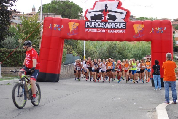 Corsa del S.S. Salvatore - Trofeo Fabrizio Irilli  [C.C.R.] (08/09/2019) 00011