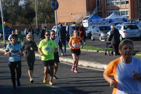 Maratonina Città di Fiumicino 21K [TOP] (10/11/2019) 00151