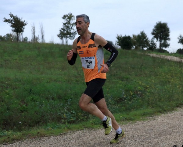 Maratonina di S.Alberto Magno [TOP] (16/11/2019) 00005