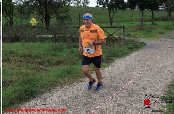 Maratonina di S.Alberto Magno [TOP] (16/11/2019) 00018