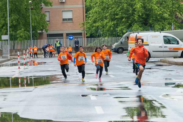 Joint Run - In corsa per la Lega Italiana del Filo d'Oro di Osimo (19/05/2019) 00009