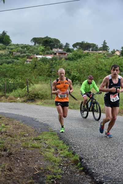 Maratonina di Villa Adriana [TOP] [C.C.R.]  (19/05/2019) 00023