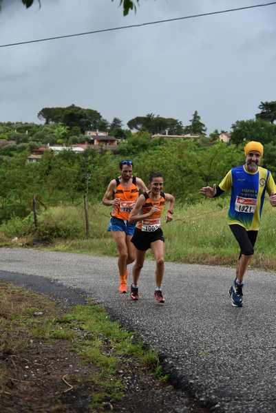 Maratonina di Villa Adriana [TOP] [C.C.R.]  (19/05/2019) 00037