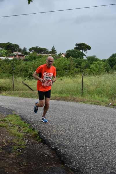 Maratonina di Villa Adriana [TOP] [C.C.R.]  (19/05/2019) 00042