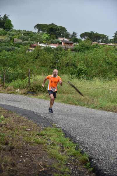Maratonina di Villa Adriana [TOP] [C.C.R.]  (19/05/2019) 00047