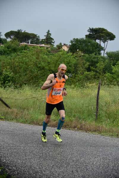 Maratonina di Villa Adriana [TOP] [C.C.R.]  (19/05/2019) 00058