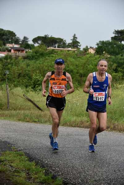 Maratonina di Villa Adriana [TOP] [C.C.R.]  (19/05/2019) 00078