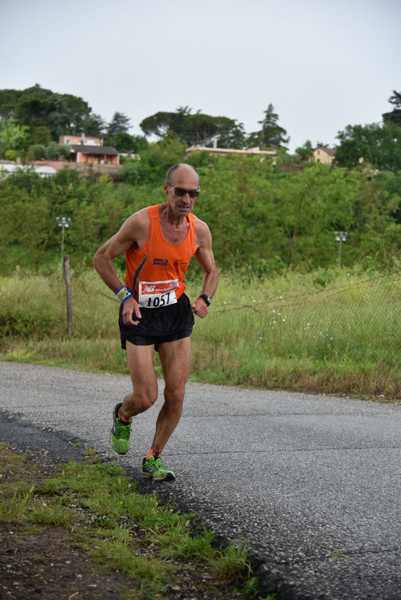 Maratonina di Villa Adriana [TOP] [C.C.R.]  (19/05/2019) 00113