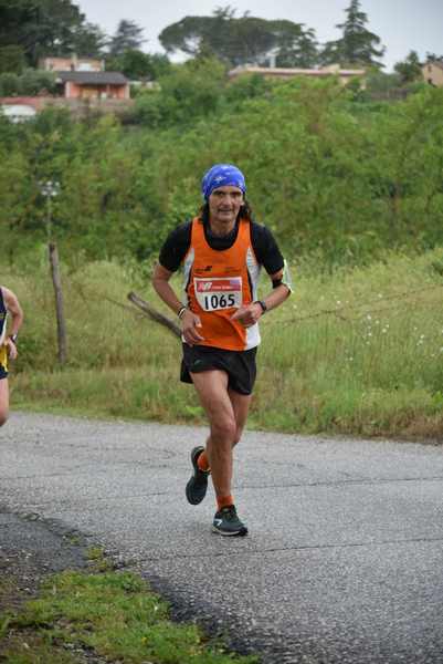 Maratonina di Villa Adriana [TOP] [C.C.R.]  (19/05/2019) 00130