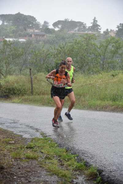 Maratonina di Villa Adriana [TOP] [C.C.R.]  (19/05/2019) 00153