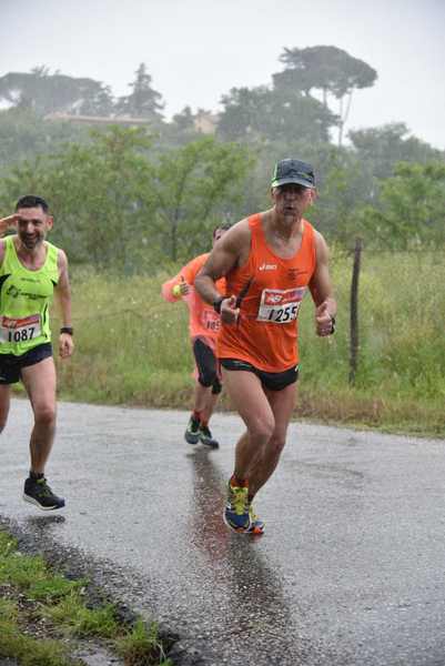 Maratonina di Villa Adriana [TOP] [C.C.R.]  (19/05/2019) 00167