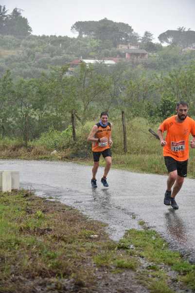 Maratonina di Villa Adriana [TOP] [C.C.R.]  (19/05/2019) 00179