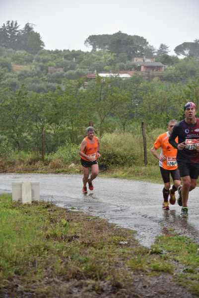 Maratonina di Villa Adriana [TOP] [C.C.R.]  (19/05/2019) 00196