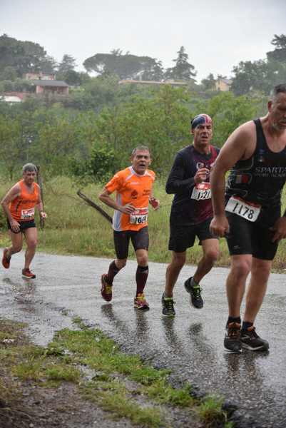 Maratonina di Villa Adriana [TOP] [C.C.R.]  (19/05/2019) 00197