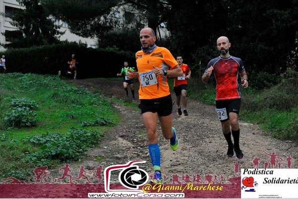 Maratonina di S.Alberto Magno [TOP] (16/11/2019) 00006