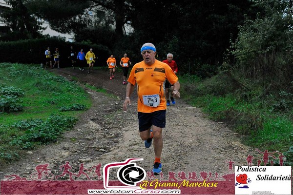 Maratonina di S.Alberto Magno [TOP] (16/11/2019) 00050