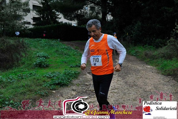 Maratonina di S.Alberto Magno [TOP] (16/11/2019) 00060