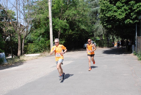 Maratonina di Villa Adriana [TOP] (29/05/2022) 0002