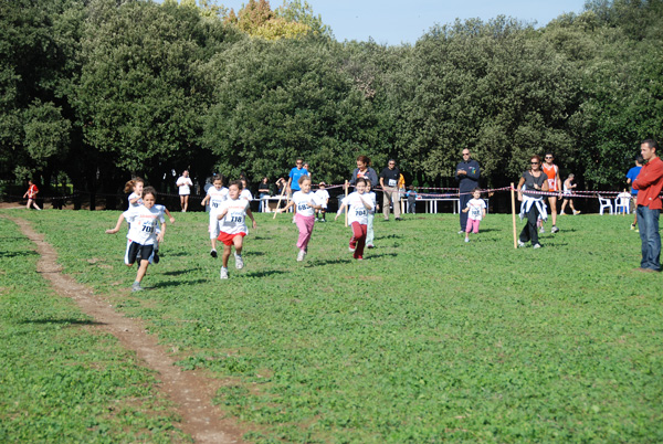 Trofeo Podistica Solidarietà (02/11/2008) trofeo_2648