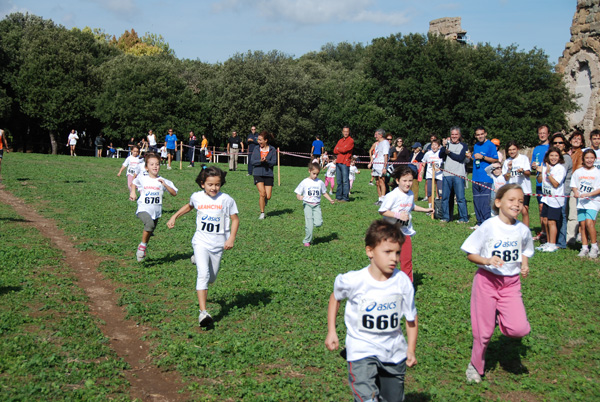 Trofeo Podistica Solidarietà (02/11/2008) trofeo_2656