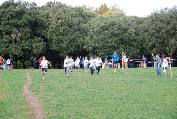 Trofeo Podistica Solidarietà (02/11/2008) trofeo_2694