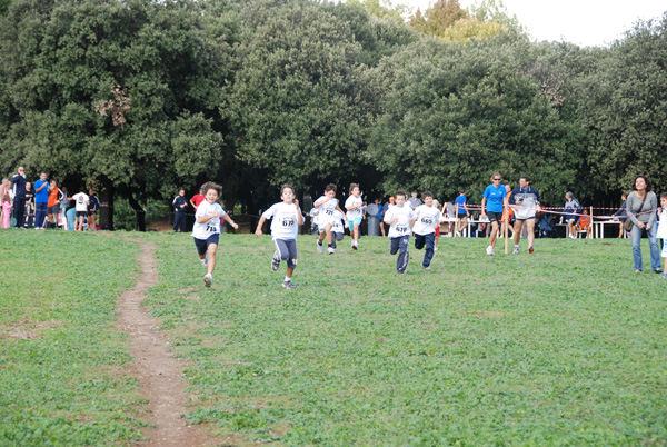 Trofeo Podistica Solidarietà (02/11/2008) trofeo_2696