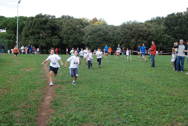 Trofeo Podistica Solidarietà (02/11/2008) trofeo_2700