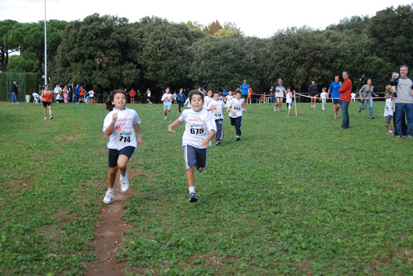 Trofeo Podistica Solidarietà (02/11/2008) trofeo_2702