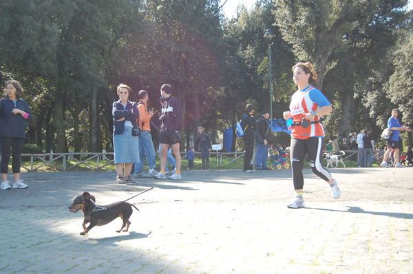 Giro delle Ville Tuscolane (25/04/2008) frascati-088