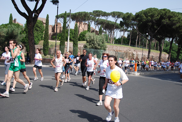 Race For The Cure (17/05/2009) race_8719