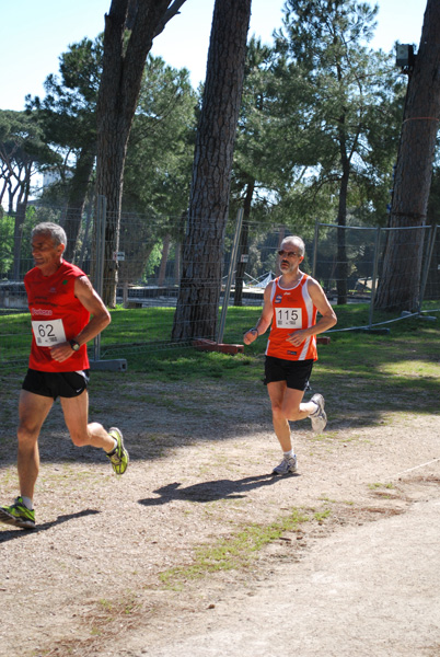 Maratonina delle 100 Province Italiane (03/05/2009) brunetti_0090