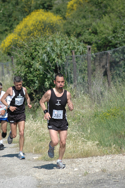 Maratonina di Villa Adriana (23/05/2010) dominici_va_2265