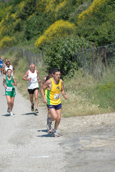 Maratonina di Villa Adriana (23/05/2010) dominici_va_2279