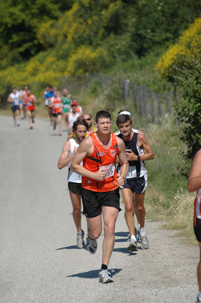 Maratonina di Villa Adriana (23/05/2010) dominici_va_2299