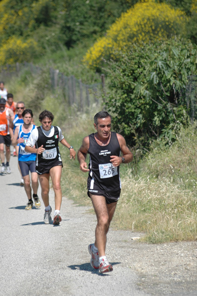 Maratonina di Villa Adriana (23/05/2010) dominici_va_2314
