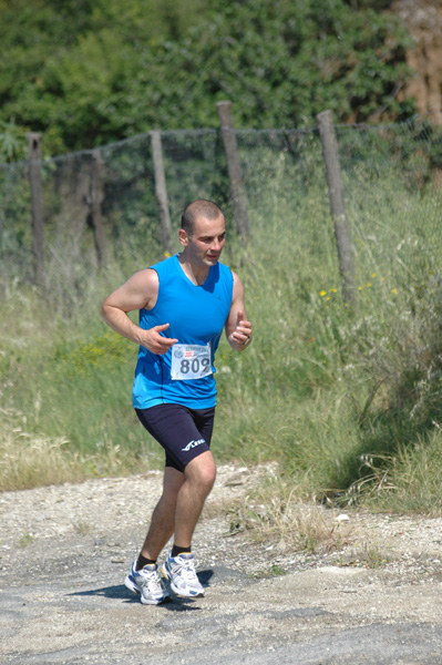 Maratonina di Villa Adriana (23/05/2010) dominici_va_2329